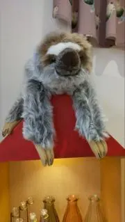 こばやんの画像