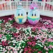 MAの画像