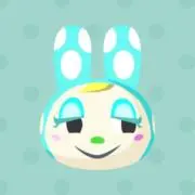 Nの画像