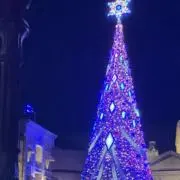 ぱとの画像