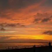 biribiriの画像