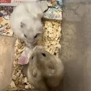 なぁの画像