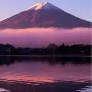 ひでの画像