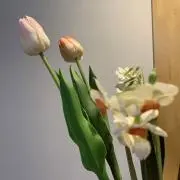 こうの画像