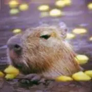 hannaの画像