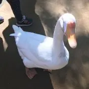 ル➰ナ♡