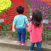 ヒナハル