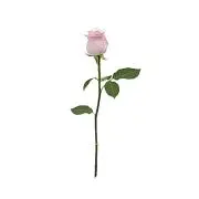 な☺︎