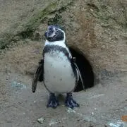 てっつん