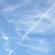 トッポの画像