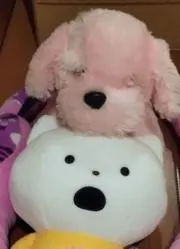 じゅんじゅん♪♬の画像