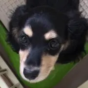 まーちゃん