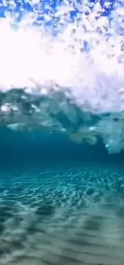 アクエリの画像