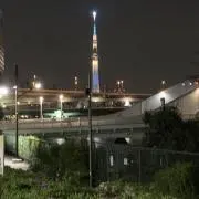 みなみの画像