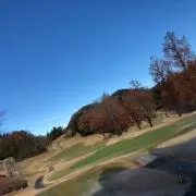 赤髪の画像