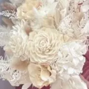 Sの画像