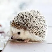 M-KRaya☆の画像