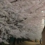 ライス少なめの画像