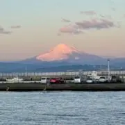 トロの画像