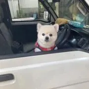 きあちの画像