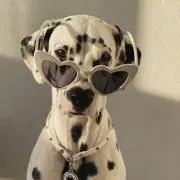 (^^)の画像