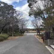 たむの画像