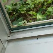 あーたんの画像