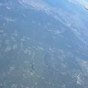 歯磨き粉の画像