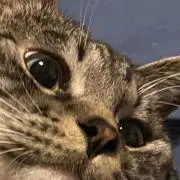 むっちゃん