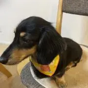 ムーさん