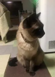 ロイ