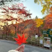 kiの画像
