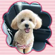 ⭐︎moco⭐︎の画像