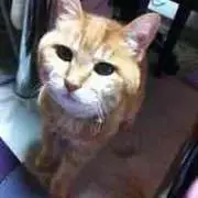 ゆっき〜⭐︎