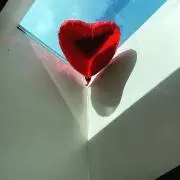ちゃんの画像
