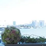 ほっぺ