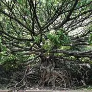 danxandanの画像