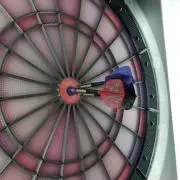ヒヨコ(断捨離中)