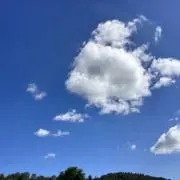 modokoの画像