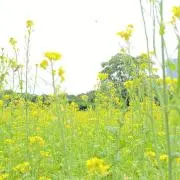 ちゃそ♪の画像