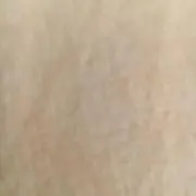 どらえもん