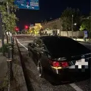 ヴヴヴ