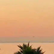 sの画像