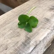 ぽて