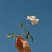 ららの画像