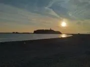 四葉の画像