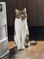 ミーナちゃん☆プロフ確認お願いします。☆の画像