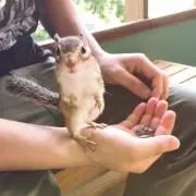 こーじの画像