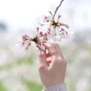 NAMAKO / 筆文字: 心の画像