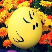 ゆきんこ
